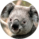 Dan Neuenschwander profile picture